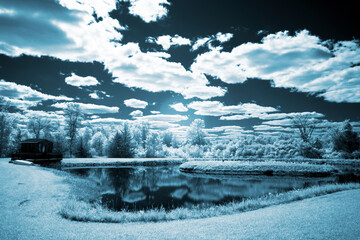 Wall Mural - infrared photos of ontario rural parkland settings with split rail fence, oak trees, clouds and lake