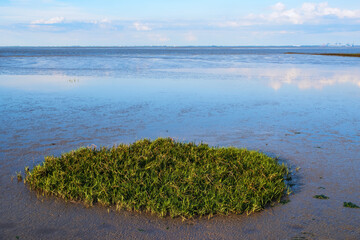 Das Wattenmeer bei Burhave/Deutschland an der Nordsee bei Ebbe