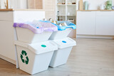 Fototapeta Panele - Image of big bins with garbage into it in domestic kitchen