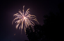 White And Yellow Fireworks At Night Sky With Visible Trees