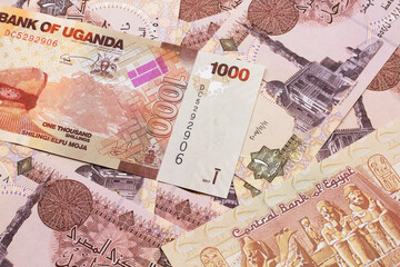 Wall Mural - A close up image of a colorful Ugandan shilling bank note with Egyptian one pound bank notes in macro