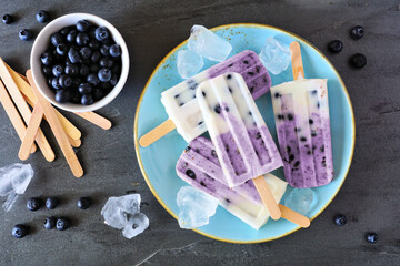 Poster - Blueberry vanilla yogurt ice pops. Top view table scene with over a dark slate background.