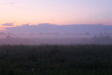 Fototapeta Na ścianę - Purple sunset over the field and dense fog over the grass