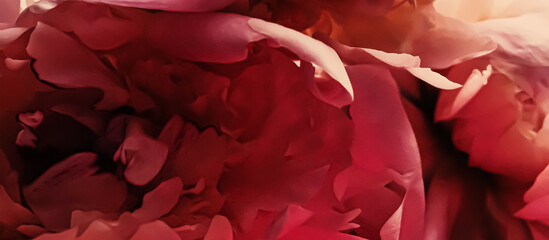 Red peony flower as abstract floral background for holiday branding