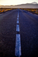 Wall Mural - An empty road running thorugh east of Morocco. 