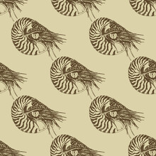 Seamless Geometrical Pattern With Hand Drawn Linear Sketches Of Ocean Mollusk Nautilus Pompilius. Sepia Brown Silhouettes On Light Yellow Background. Vintage Style. Seamless Geometrical Pattern With H