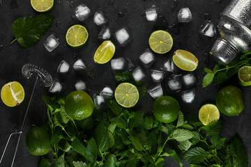 Poster - Summer Refreshing Classic Mojito Cocktail. Ingredients: lime, mint, cane sugar, ice. Shaker, strainer. Cuban national drink.