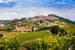 Vue de la ville de Sancerre avec des vignes en premier plan