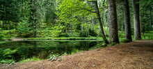 Landscape Panorama Background - Idyllic Little Lake In The Middle Of The Forest Surrounded By Trees (Black Forest Germany)