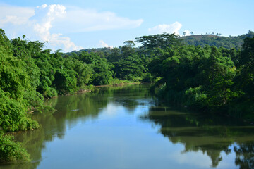 Wall Mural - Tamparuli river with mangroves in Sabah, Malaysia