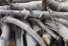 Closeup Shot Of A Pile Of Stacked Grey Cut Tree Limbs