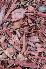 Poster - High angle vertical shot of red wood chips