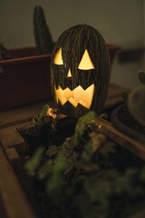 Sticker - Selective focus of a pumpkin with lights on the table near cactuses - concept of Halloween