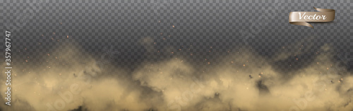 Cuadros en Lienzo Transparent dust clouds with dirt. Vector