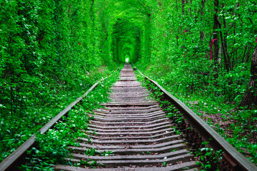 Poster - a railway in the spring forest tunnel of love