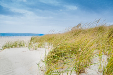 Wall Mural - Marram grass blowing in wind on beach in coastal New England USA