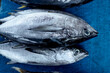 © Heri Mardinal - Fresh raw baby tuna fish for sale at local seafood market