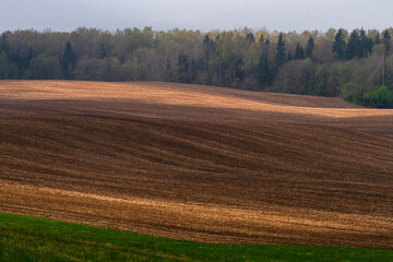  Cultivated land in early spring