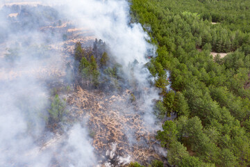 Wall Mural - Aerial drone view of a wildfire in forested area