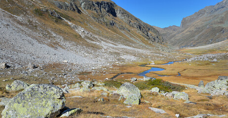 Canvas Print - little river crossing alpine  mountain in yellow grass and stone under blue sky