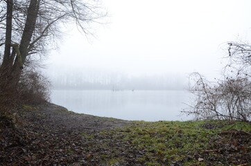 Wall Mural - Lake surrounded covered in mist surrounded by the forest