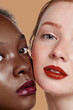 The real beauty exists in every corner of the world and is presented by women of all races. Beauty portrait of two ladies with different skin colour. Girls with rouged lips are posing cheek to cheek. 