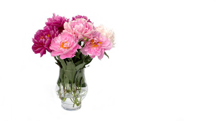 Wall Mural - Bouquet of white and pink peonies in the vase isolated on white.