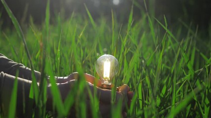 idea solar energy in nature, hand holding light bulb. eco energy saving, alternative solar energy, r