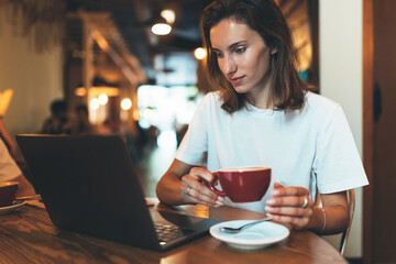 young female manager using laptop in cafe, girl freelancer looking on monitor and drink hot coffee, businesswoman working portable computer in restaurant communication online, student online internet