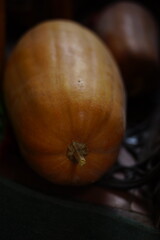 Orange whole long pumpkin lies on the floor in a dark room