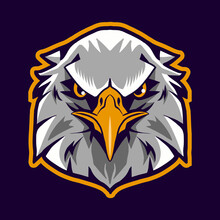 Eagle Head Vector Illustration Isolated