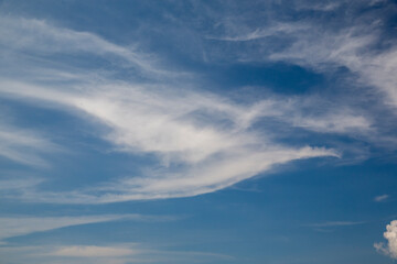 Wall Mural - clouds in the blue sky