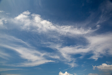 Wall Mural - clouds in the blue sky