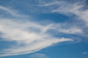 Wall Mural - clouds in the blue sky