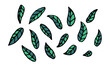 © Ангелина - Collection of hand drawn leaves. Doodle illustration. Simple floral elements isolated on white background