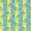 Watercolor seamless pattern with lemon, green leaves and white flowers in stripes on blue jeanes background