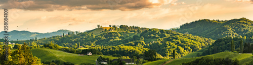 Fotomural Vineyards panorama Leibnitz area famous destination wine street in south Styria in summer