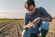 Young farmer in corn field examining soil quality.