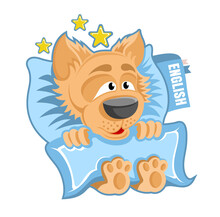 Character Brown Dog In The Bed With Book Under The Pillow In Cartoon Style On White