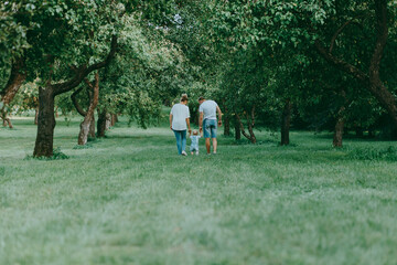 Happy young family. Father, mother and child walking in park on summer. Young man and young woman hold their little child's hands.