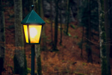 Horror Fairy Tale Mystic Dramatic Autumn Forest Lamp Post Yellow Illumination Lighting And Dark Twilight Unfocused Blurred Scenic Environment
