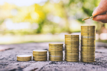 investor business man hand putting money on coins row stack on wood table with blur nature park background. money saving concept for financial banking and accounting.