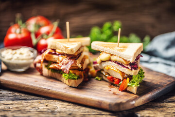 Wall Mural - Chicken and cheese sandwich with red cabbage, peppers and salad in rustic wooden environment