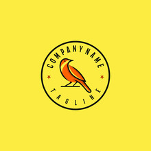 Oriole Bird Logo Design Template. Awesome A Oriole Bird With Circle Logo. A Oriole Bird Line Art Logotype.