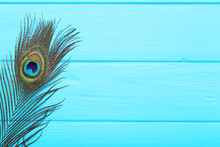 Peacock Feathers On Blue Wooden Table
