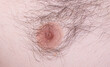 male hairy shaggy chest close-up
