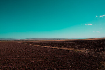 Agriculture  planting areas. Steppe landscape. Beautiful aqua blue sky. Sunny summer day. Country road.