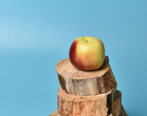 Wall Mural - Apple fruit on a cross sections of a tree trunk.