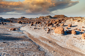 Wall Mural - bisti de na zin wilderness boulder field