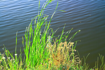 Beautiful river in the highlands in summer. Lake in an ecologically clean park reserve on a background of hills. A pretty landscape in the spring. Stock photo for design